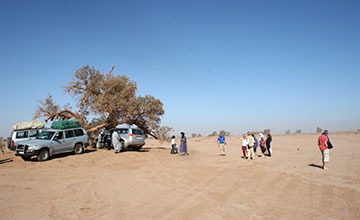 Sahara-Desert-by-4X4